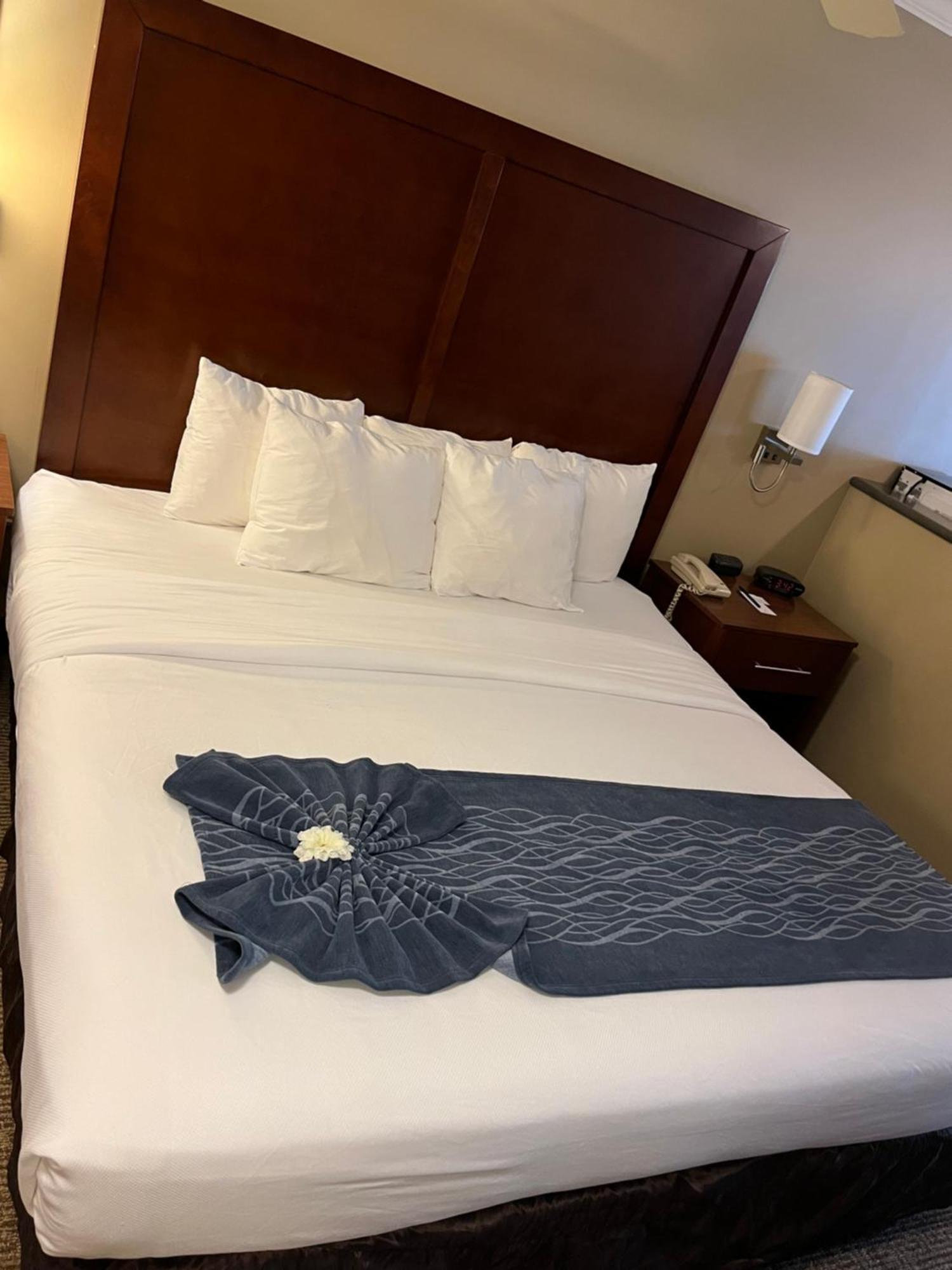Comfort Inn & Suites Ошен Шорс Экстерьер фото